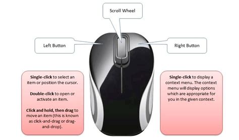 Mouse Button RunDown: What does each button on a mouse do?