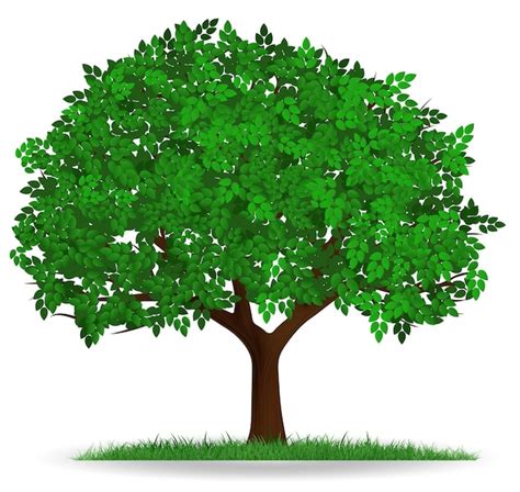Afbeeldingsresultaten voor Tree Design Plate PNG