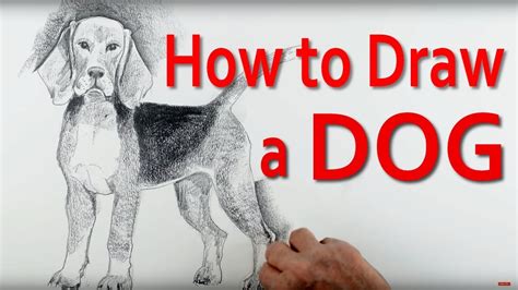 How Do You Draw Dog に対する画像結果