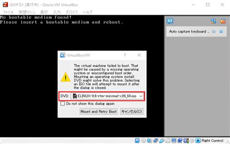 System V GUI に対する画像結果