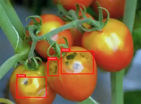 Image result for Computer Vision Detection Biotech