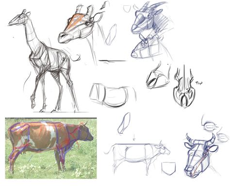 How Do You Draw Animals に対する画像結果