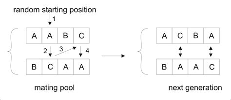 Image result for Cycle Crossover