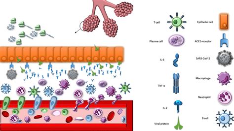 Image result for Cell Control Array Virus