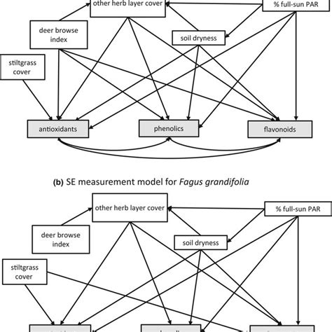 Semm Process Model-এর ছবি ফলাফল
