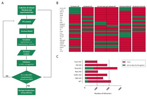 Image result for Boolean Flow Chart