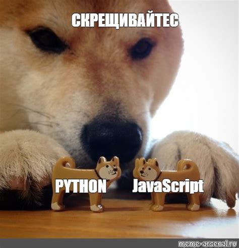 Russian Python Coder Meme に対する画像結果