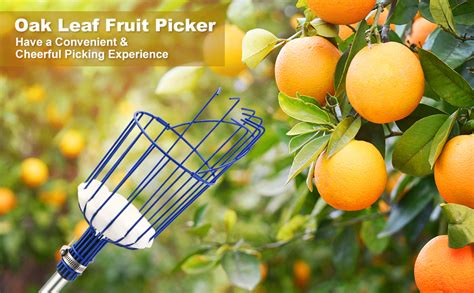 Afbeeldingsresultaten voor Orange Tree Picker