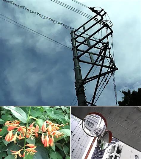 1st Person Retro Studio に対する画像結果