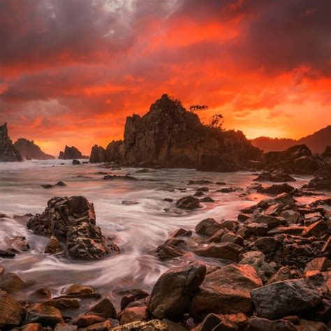 Image result for Python 600 X 600