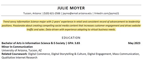 Examples of Resume Summary Statements に対する画像結果