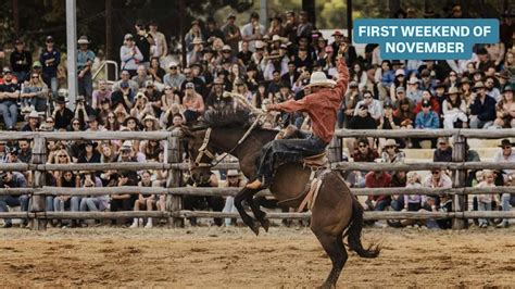 Toradh íomhá ar Open Source Muster