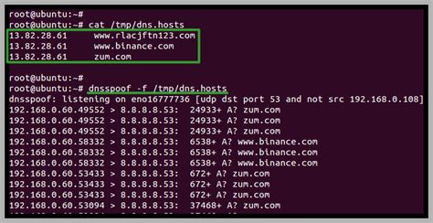 Image result for DNS Spoofing Python Script
