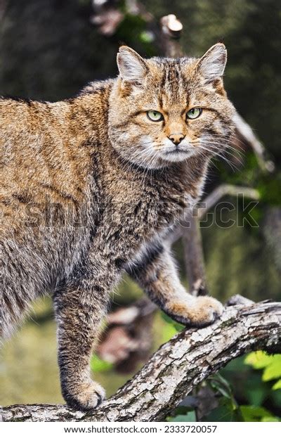 Afbeeldingsresultaten voor LED Reader Board Signs