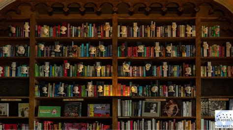 Afbeeldingsresultaten voor Relaxing Library