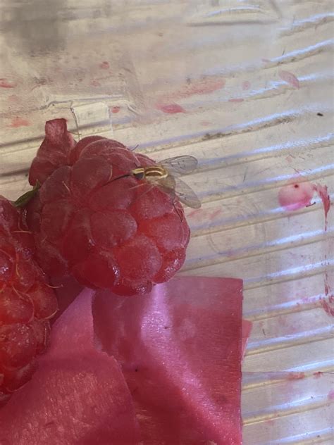 Image result for Raspberry Pi World Clock