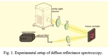 Intra-class variability in diffuse reflectance spectroscopy ...