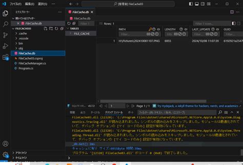vs Code SQLite Drivers に対する画像結果