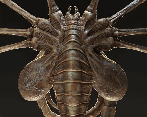 Alien Facehugger Wallpaper に対する画像結果