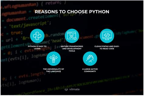 Image result for Back End Python Drawing