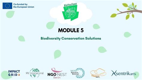 Image result for Module 5 Logo Pic