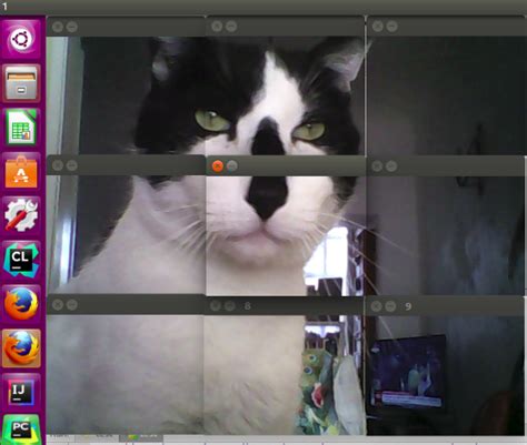 Python Split Video File に対する画像結果
