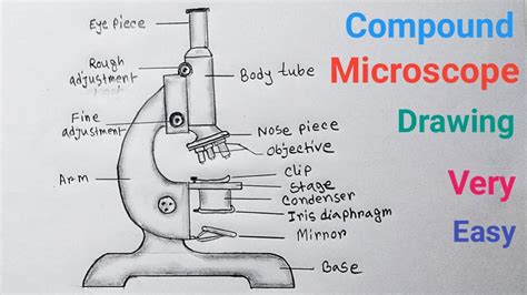 Afbeeldingsresultaten voor Compound Light Microscope Draw Tube