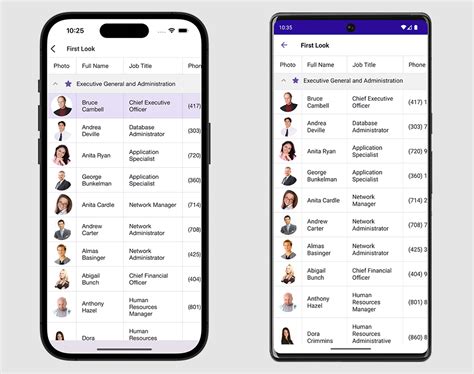 Image result for DevExpress Maui UI Collection View