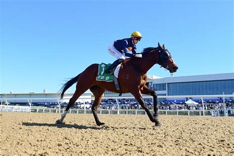 Retention Dual-Code に対する画像結果