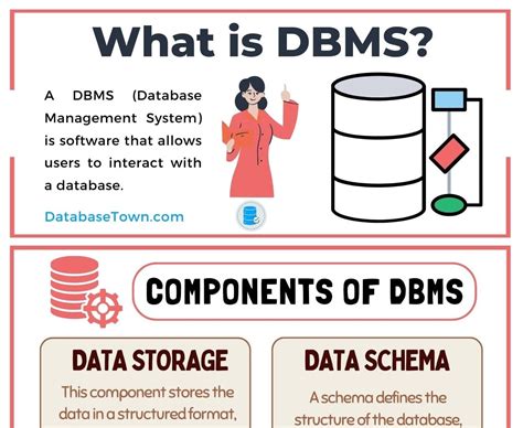 Image result for Functional Components of Database
