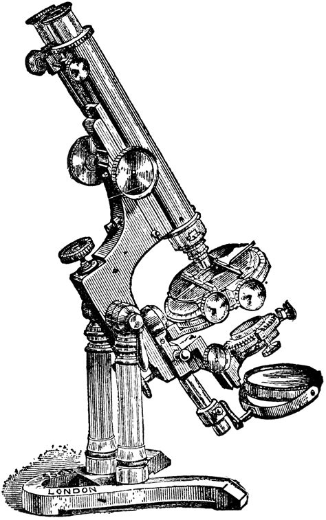 Image result for 1886 Modern Compound Light Microscope