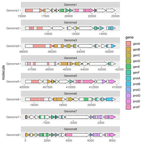 Image result for Python Plot Gene Structure