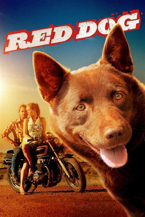 Image result for Animal Dog Movies