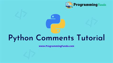 Python Comments Example に対する画像結果