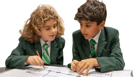 Image result for Dual Code