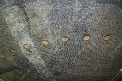 Toradh íomhá ar Apollo Command Module Heat Shield