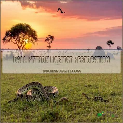 African Python Habitat に対する画像結果