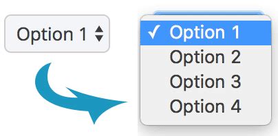 Image result for JavaScript Select Option