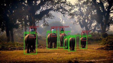Object Detection Using Faster Rcnn On ResNet CNN Code に対する画像結果