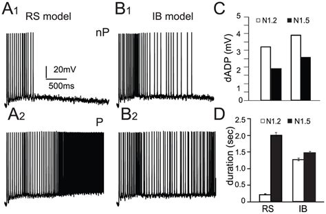 Image result for Neuron Persistent Activity
