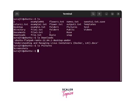 Image result for Executing Command in Linux Program Example in Which Commans Are Executd