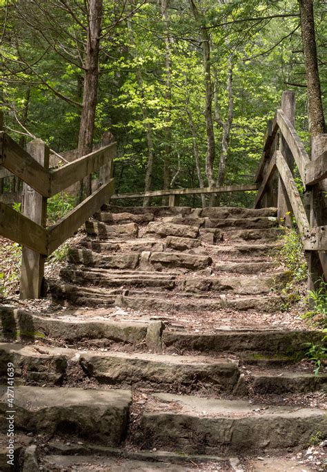 Image result for Stone Steps in Forest iStock