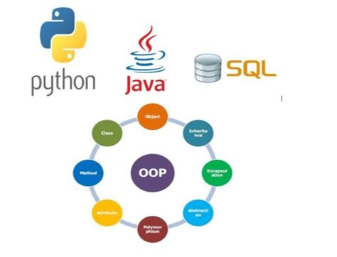 Image result for SQL Python Java