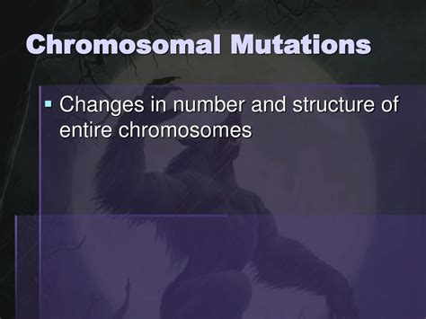 Image result for Inversion Chromosomal Mutation