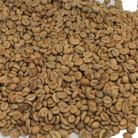 VIETNAM Robusta Green Coffee Beans Size 16-Varieties Arabica Java Raw Roasted Colored Whole Pattern