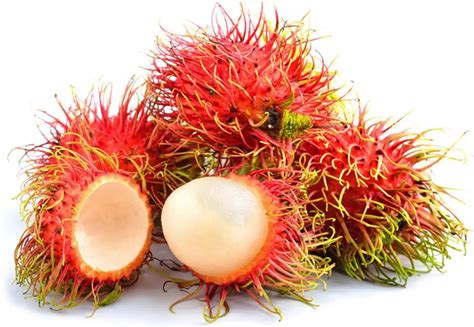 High Quality Frozen IQF JAVA RAMBUTAN Vietnam Ready To Export