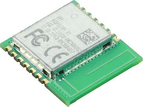 RASPBERRY-PI RMC20452T