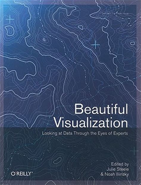 Pre-Owned Beautiful Visualization: Looking At Data Through The Eyes Of Experts Paperback
