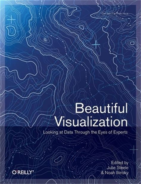 Beautiful Visualization: Looking At Data Through The Eyes Of Experts (Paperback