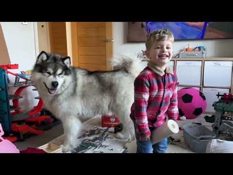 A Day In The Life Of Our Family! What Do They Get Up to??